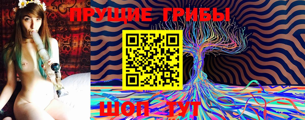 Выкса  Псилоцибиновые грибы прущие грибы  Вход с VPN  Псилоцибиновые грибы GOLDEN TEACHER 