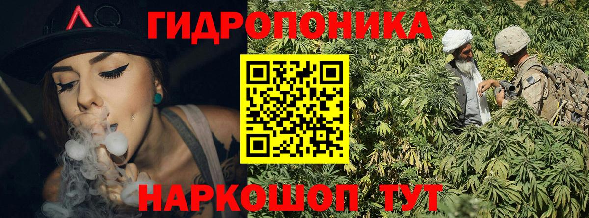 Марихуана OG Kush  МАРИХУАНА тримм  Выкса  Вход с VPN  Шишки марихуана индика 